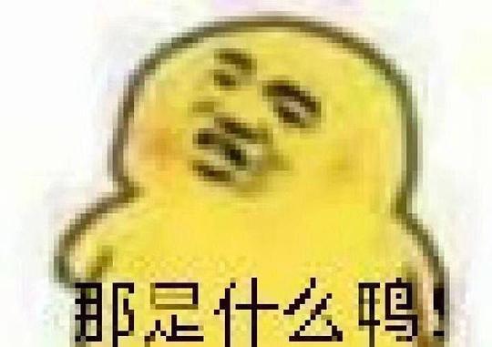 吃瓜群众表情包可爱图片,吃瓜群众表情包可爱瞬间大盘点